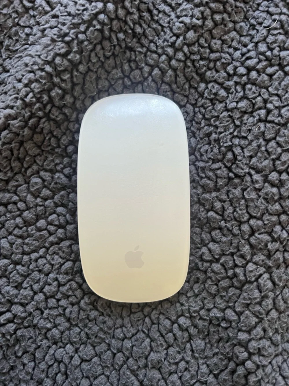 Apple Wireless Mouse in Silver and Black